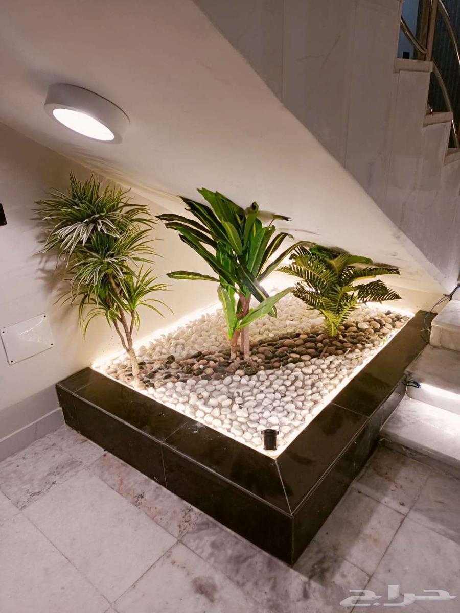 تنسيق حدائق جازان64229182347267113