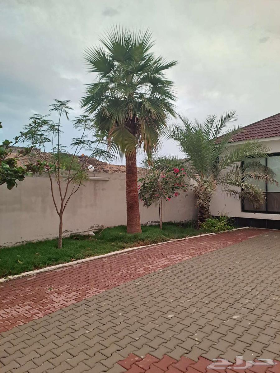 Two-part rest house for rent64225444452483114