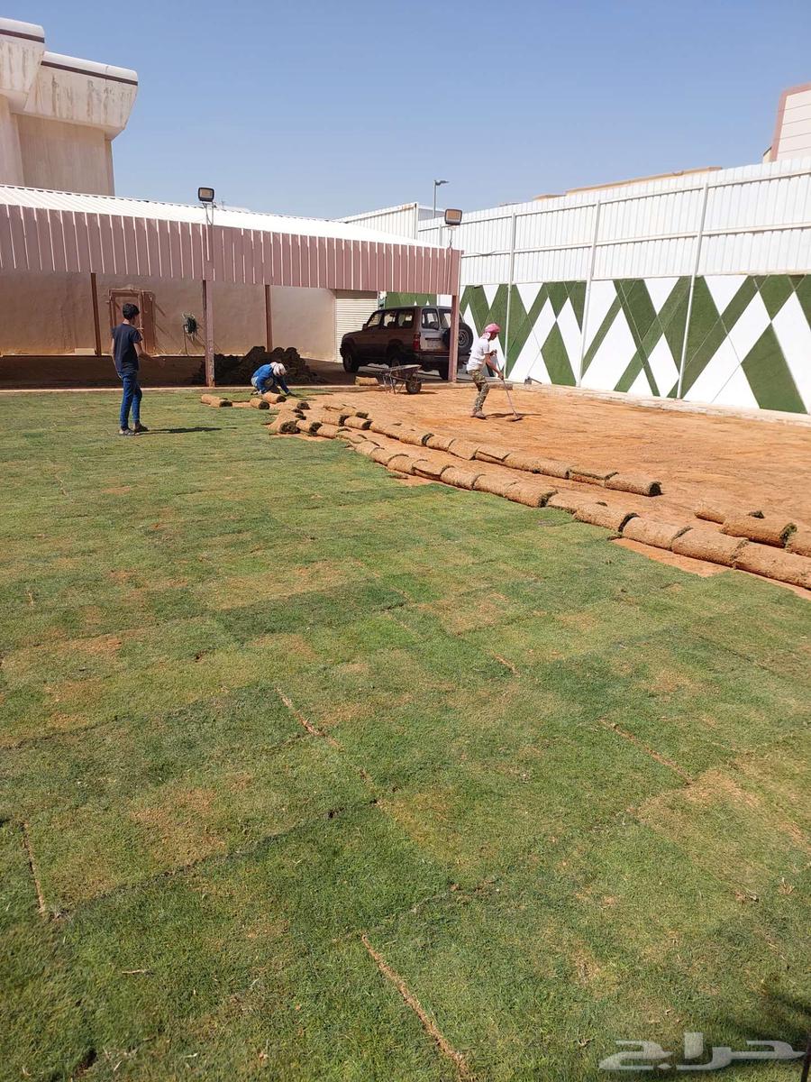 توريد وزراعه النخيل والثيل اعمال شبوك وشبكات الري64254318299651112