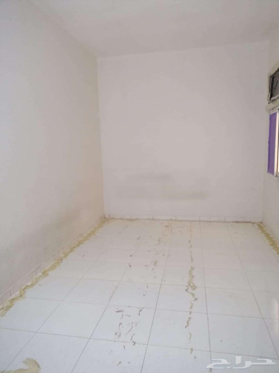 شقة للإيجار