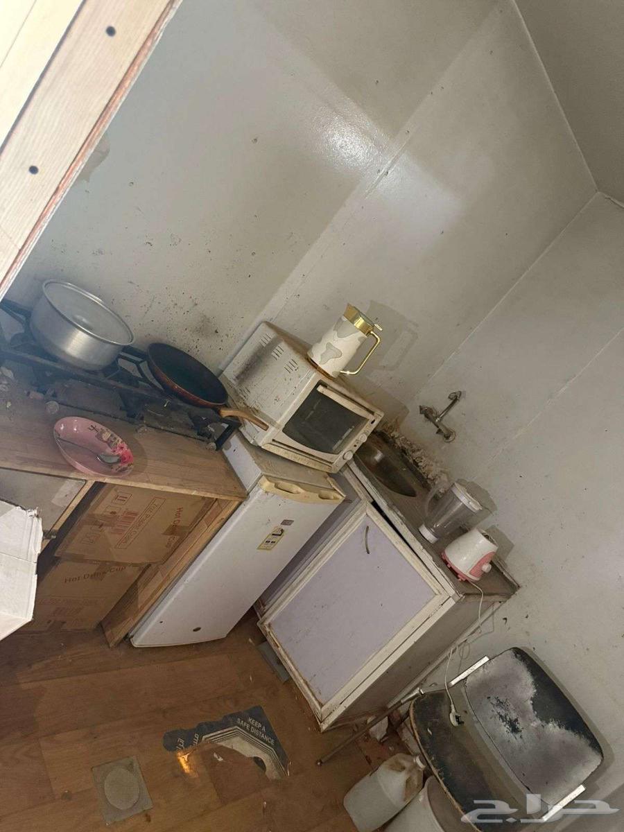 براكسات بورت كبن (عرعر)64240953676035110