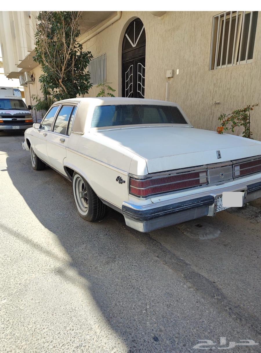 مندوب فحص سيارات64239966884483111