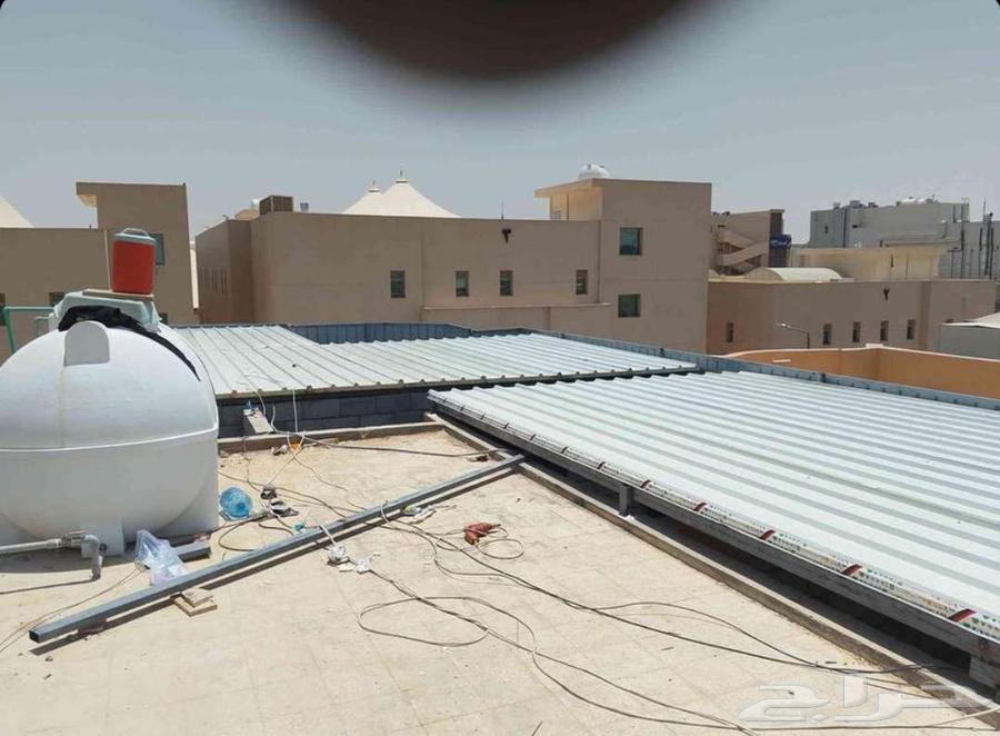 سندويتش بنل64228825214465113