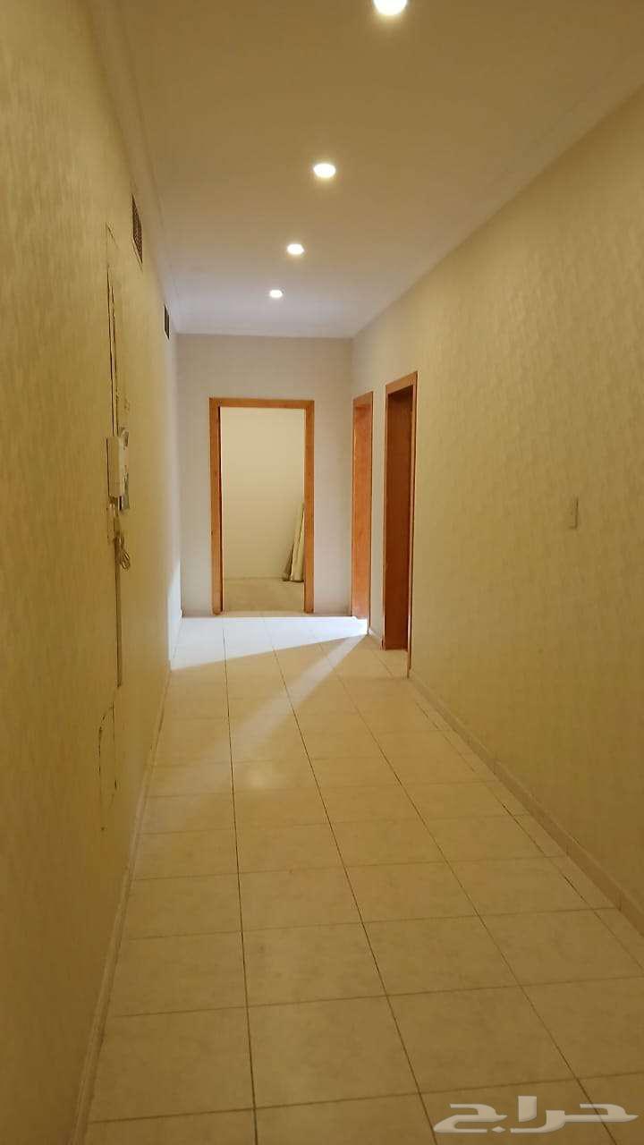 للايجار دور اول علوى حى الجامعيين64244660910595113