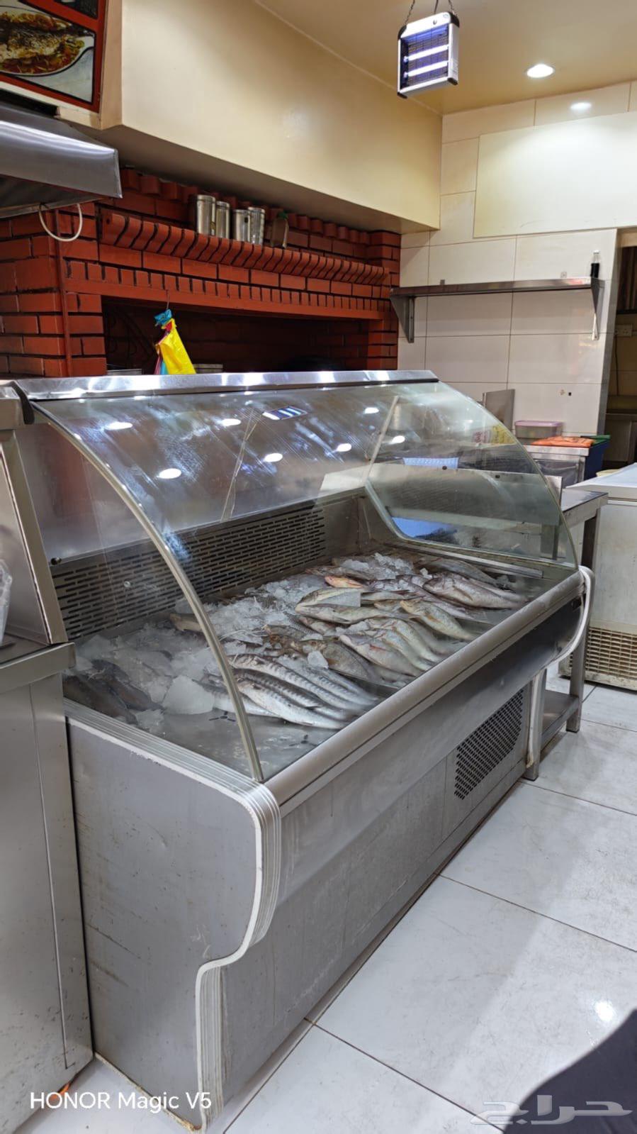 محل مطعم لتقبيل64244661505410112