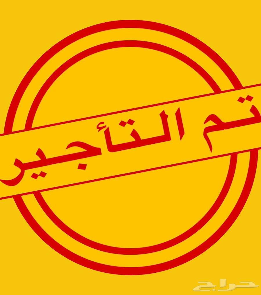 شقة للإيجار