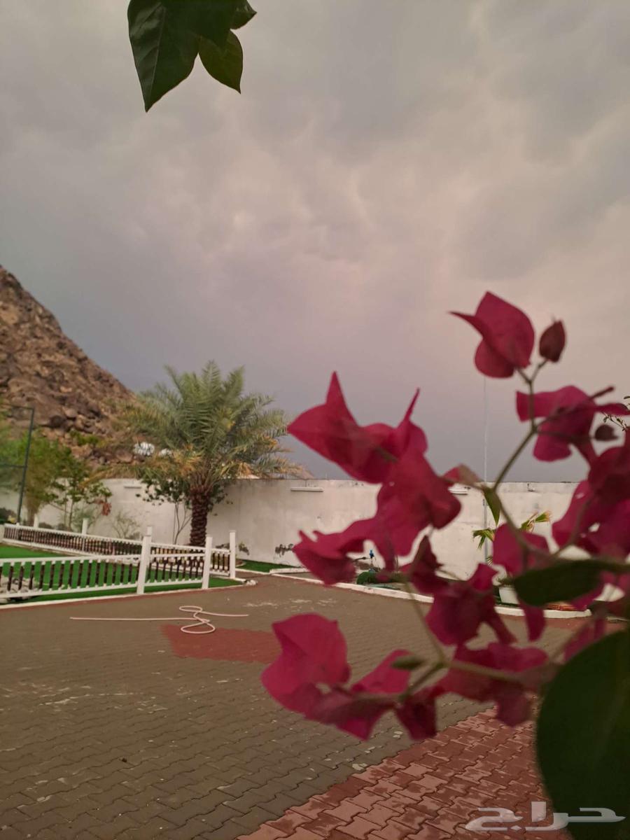 استراحه للاجار اليومي قسمين64239958458113111