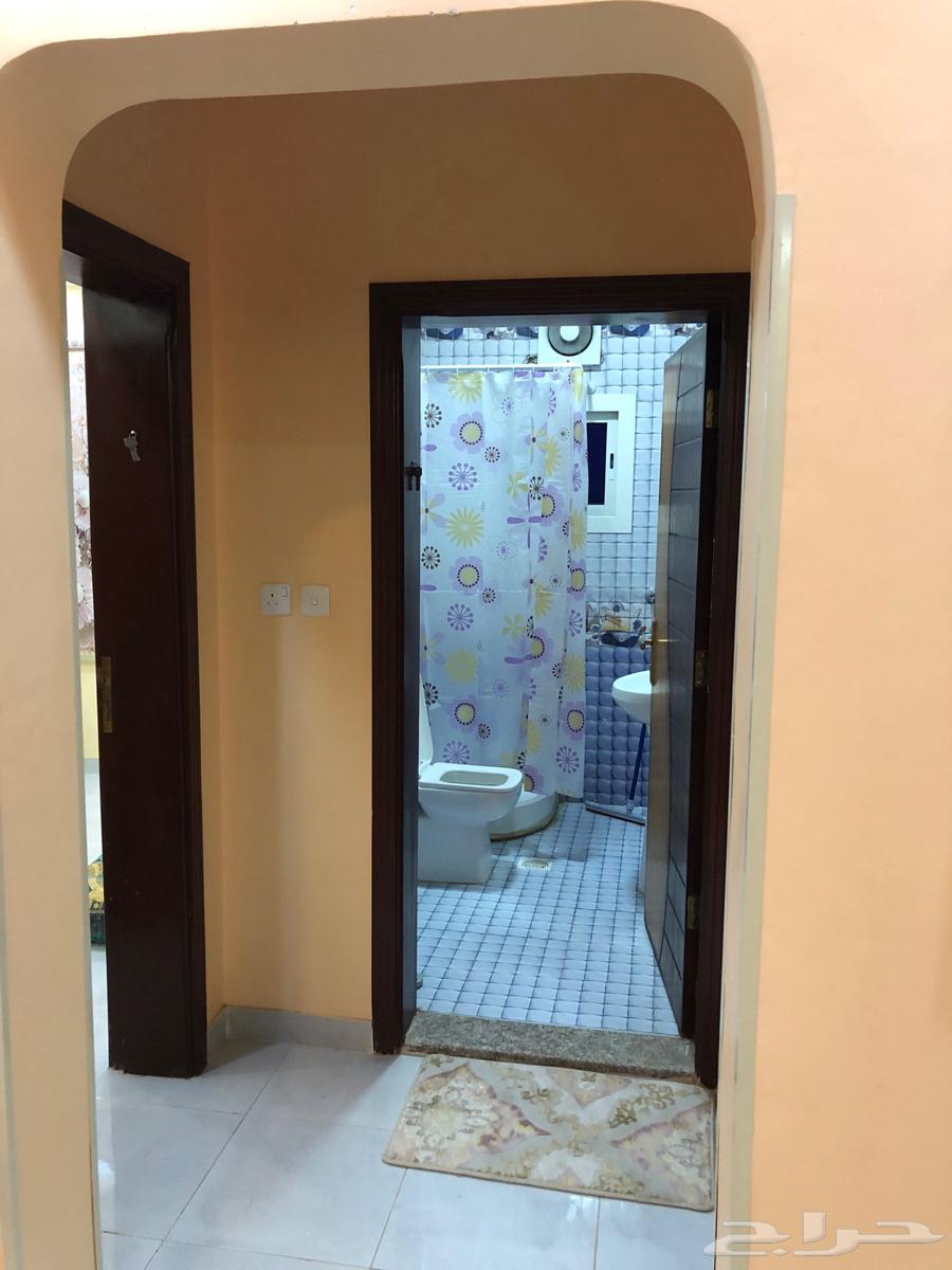 للايجار شقه مفروشه 3 غرف حي بريمان64244661279619114