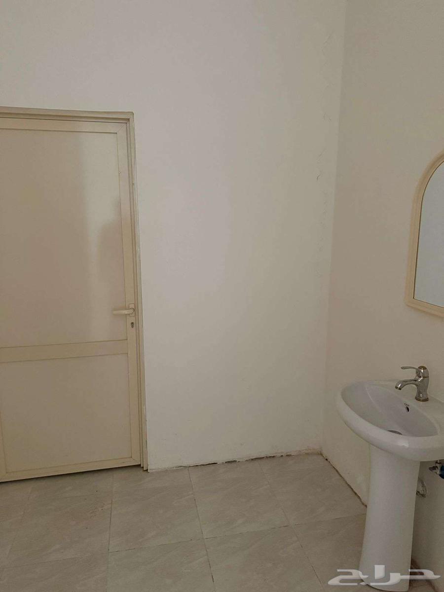 للايجار محل بالشفا خلف متجر منافس ب 1200 شهري64240138753281114