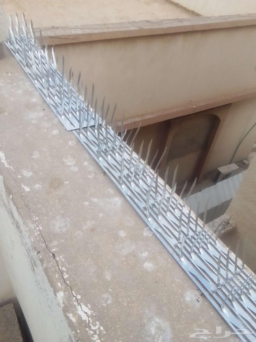 Pigeon Spike Installation, Pigeon Netting Installation, Pigeon Repellent Installation64241651462785111