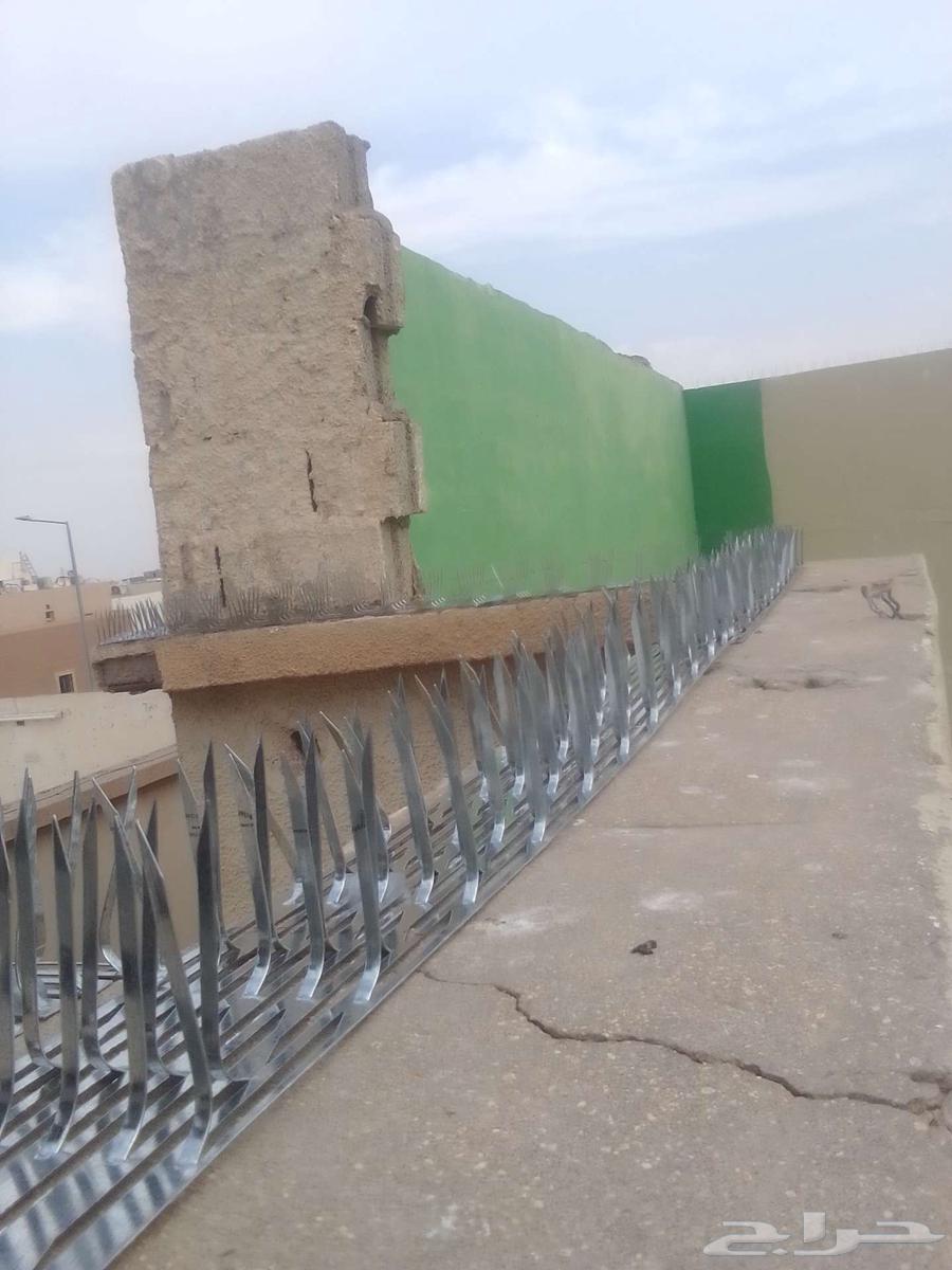 Pigeon Spike Installation, Pigeon Netting Installation, Pigeon Repellent Installation64241651462785112