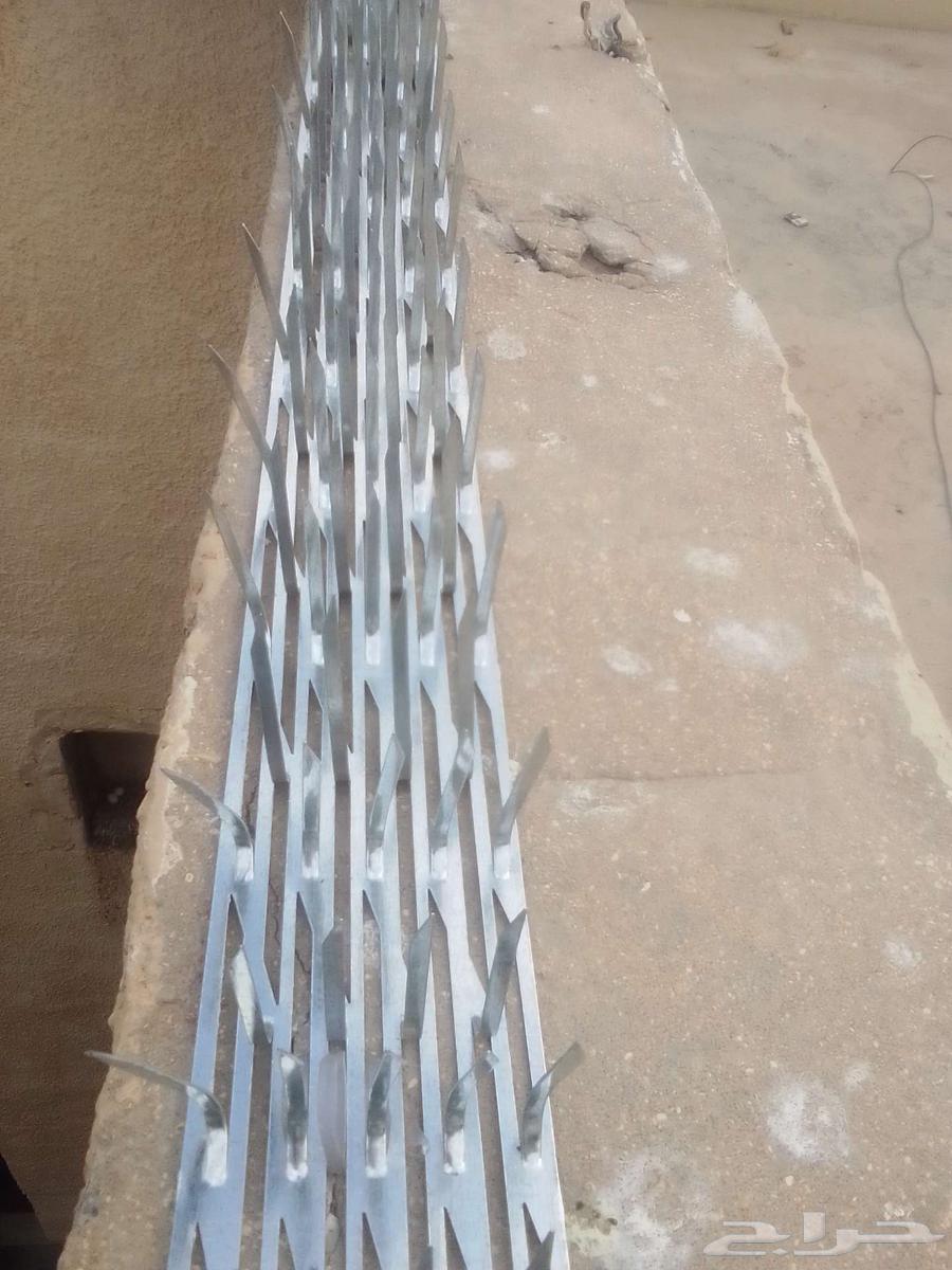 Pigeon Spike Installation, Pigeon Netting Installation, Pigeon Repellent Installation64241651462785113