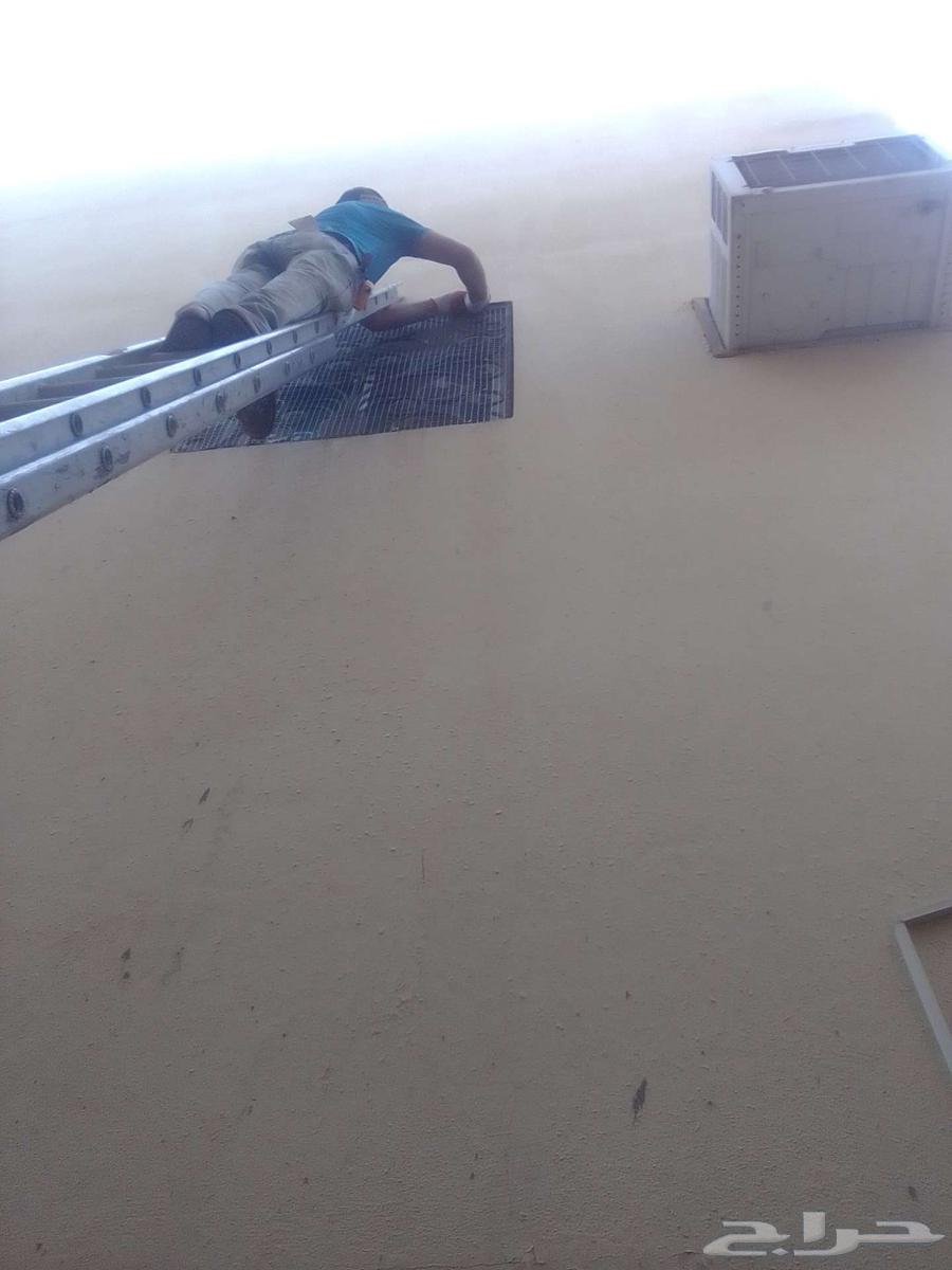 Pigeon Spike Installation, Pigeon Netting Installation, Pigeon Repellent Installation64241651462785114