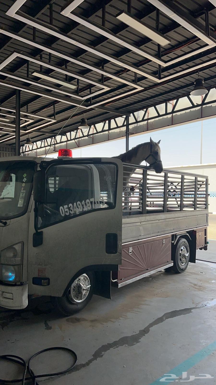 دينه نقل عفش.64240953323522110