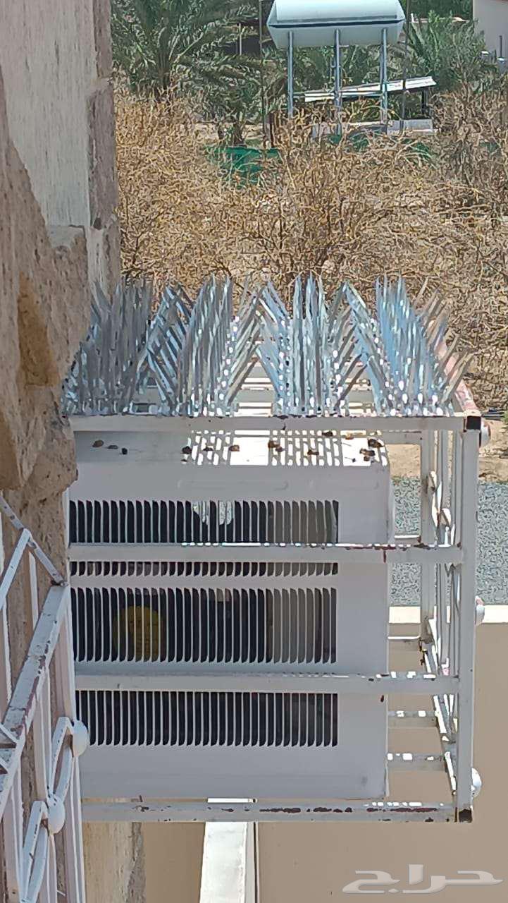 Pigeon Deterrent Installation Company, Pigeon Control, Pigeon Spike Installation64254506952065113