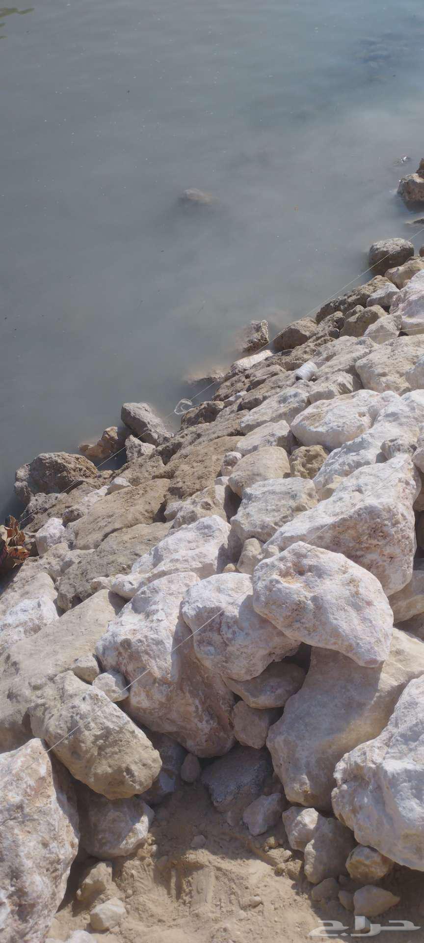 ابو همام لجميع اعمال الربراب والتدبيش64254319527299111