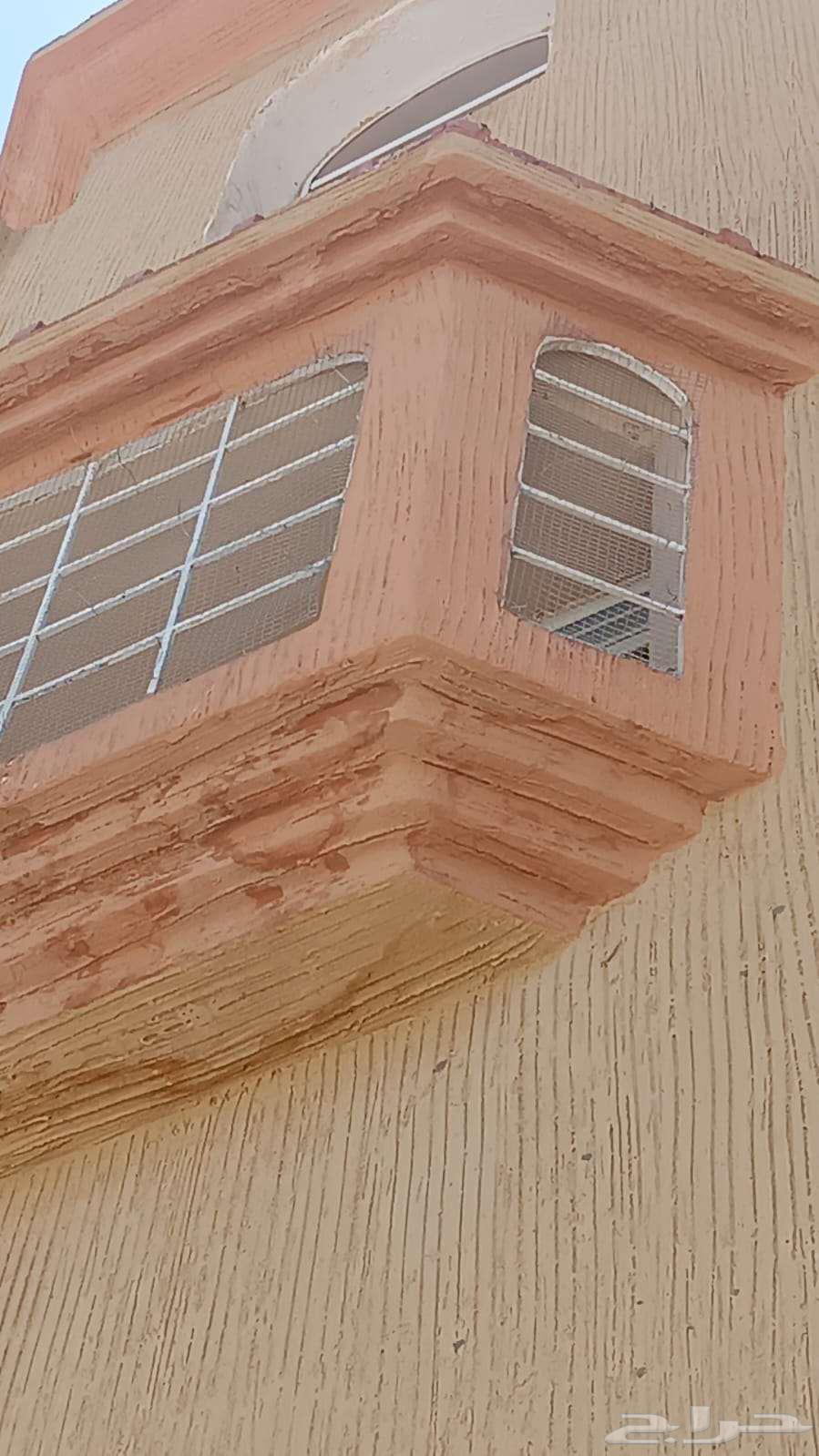 Pigeon Deterrent Installation Company, Pigeon Control, Pigeon Spike Installation64254506952065112