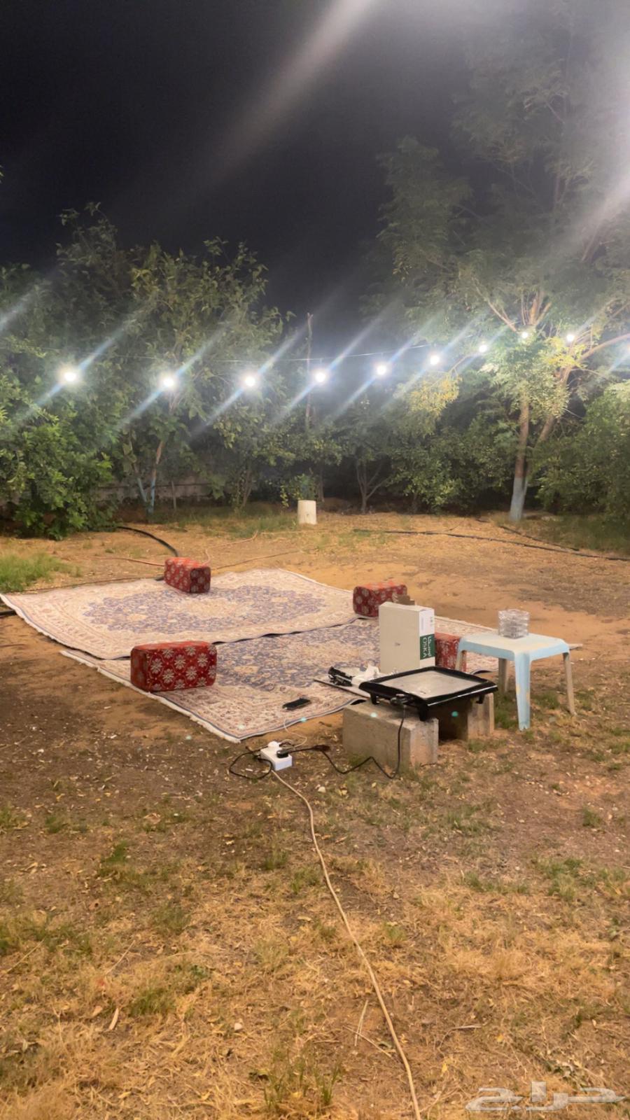 استراحة للايجار فالجلده64254144433282111