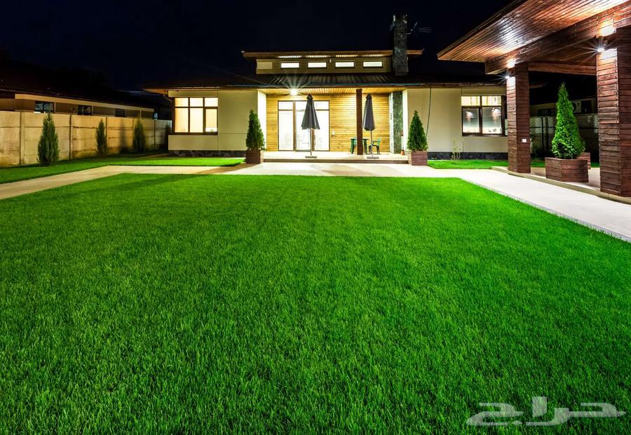 Landscape Design, Artificial and Natural Grass64254317009283110