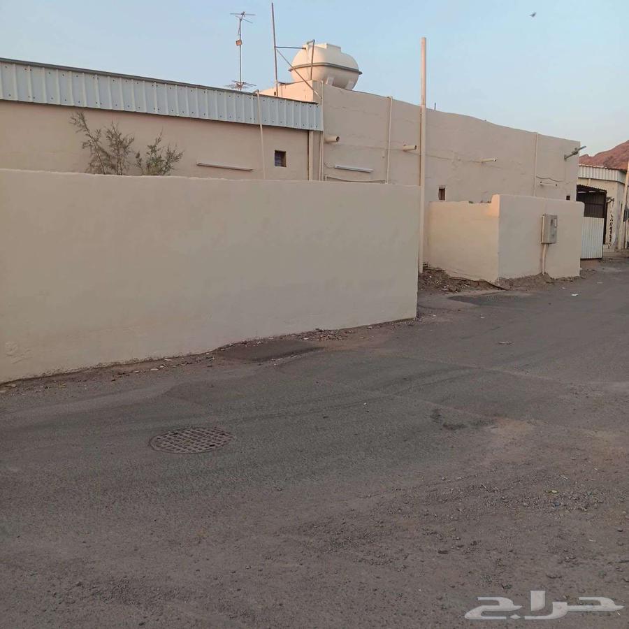 للايجار بيت شعبي حي وعيرة64254144966401112