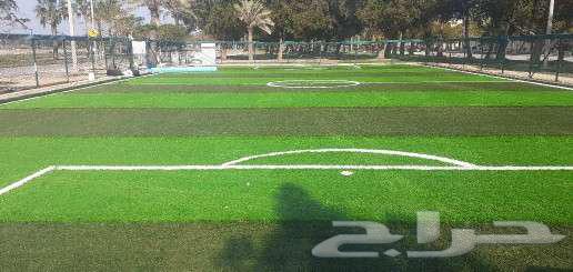 Supply and installation of artificial grass and playgrounds64270285712897112