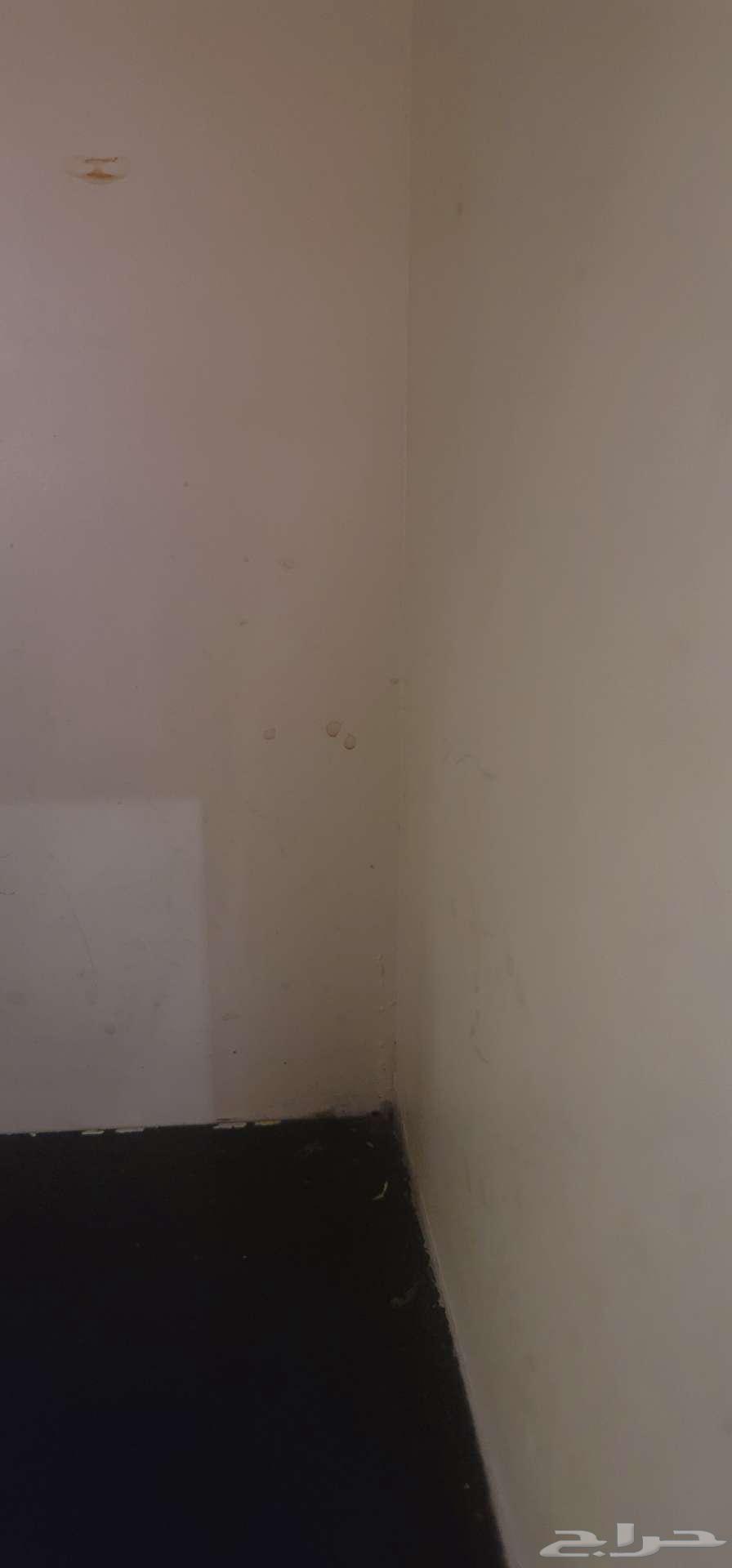 مطلوب شقه غرفه وصاله وحمام مناسبه64270277174658110