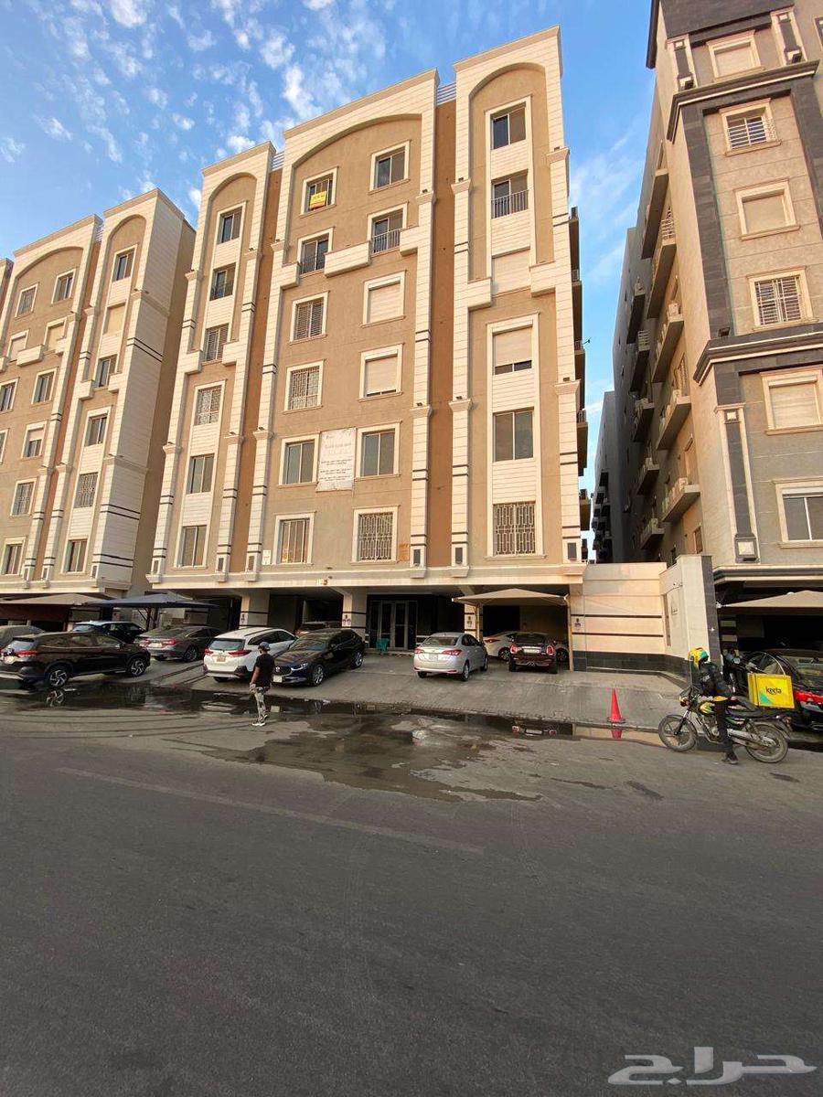 شقة للإيجار