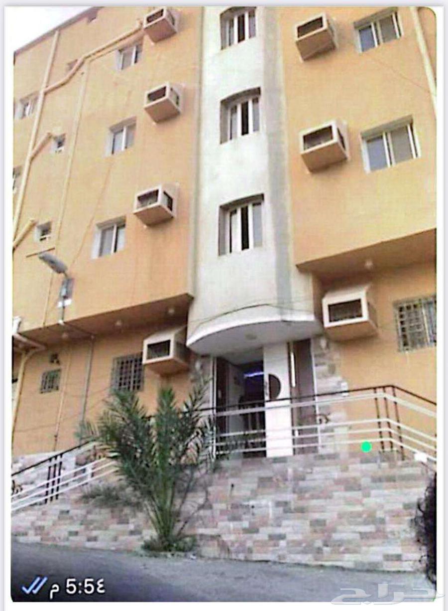 عمارة للإيجار