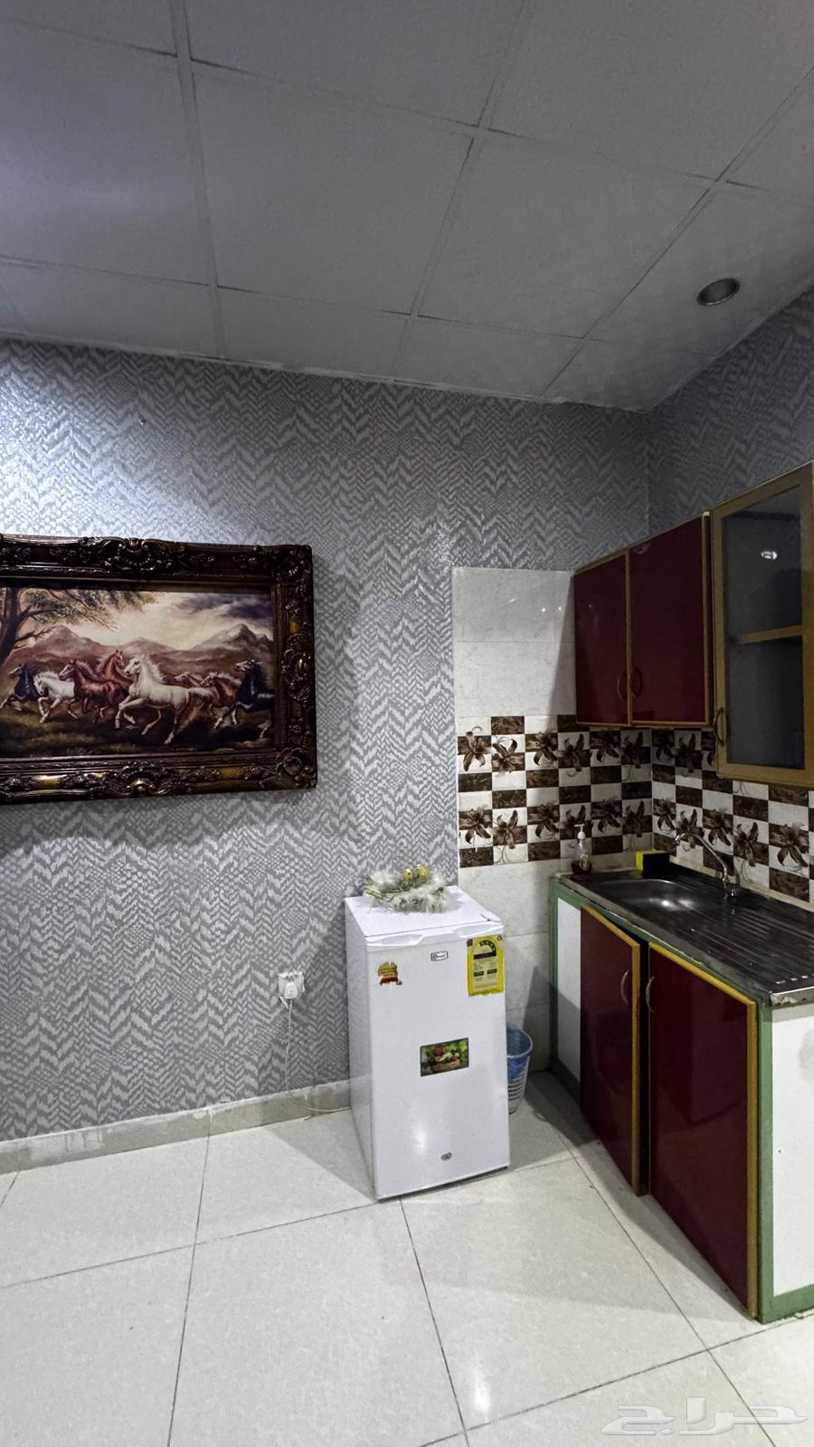 للايجار شقه استوديو مفروش بالنهضه قريب الردسي مول64264173176963112