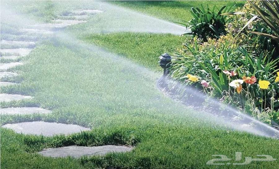 عشب طبيعي شبكات ري64260121795329112