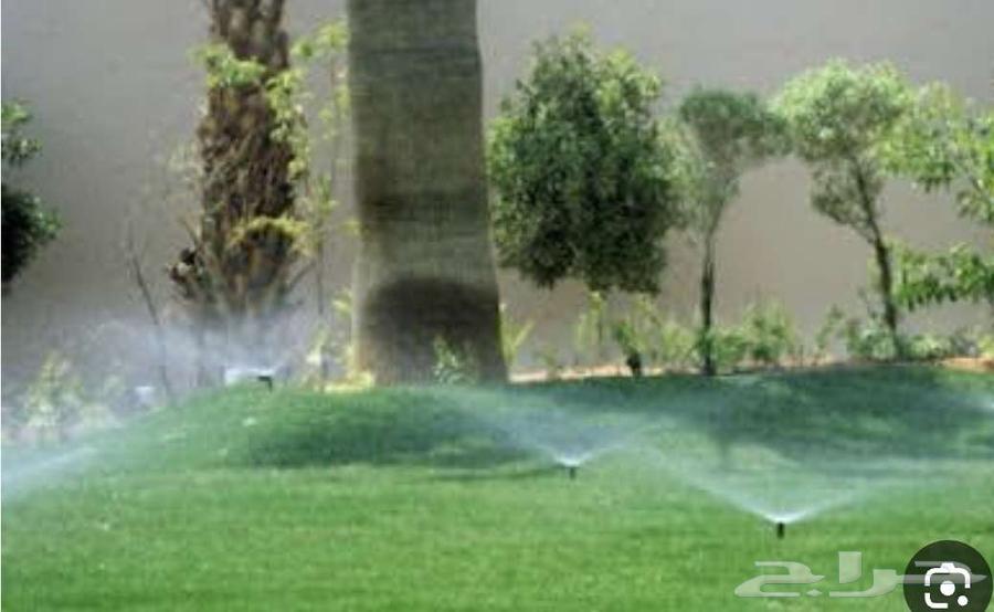 عشب طبيعي شبكات ري64260121795329113