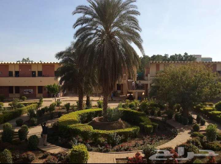 الشرائع الخضراء64270277938945110