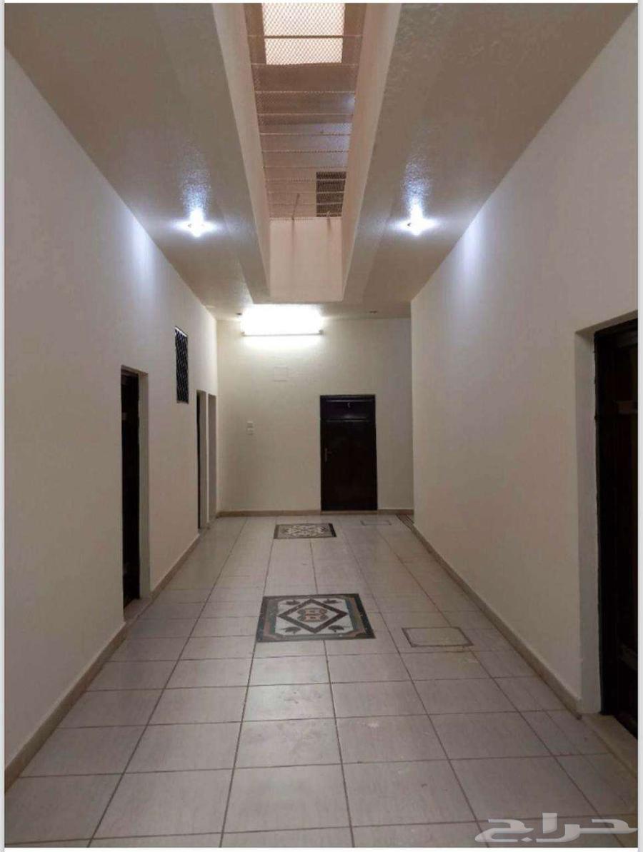 شقق عزاب للإيجار بمحافظة الرس بالقصيم64273908462850110