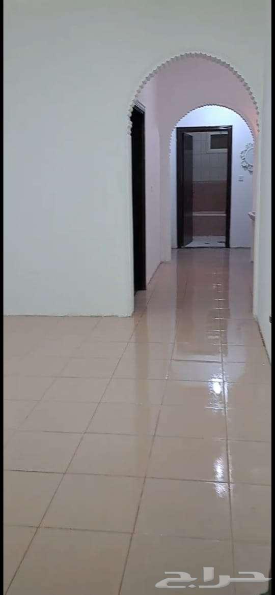 شقة للإيجار