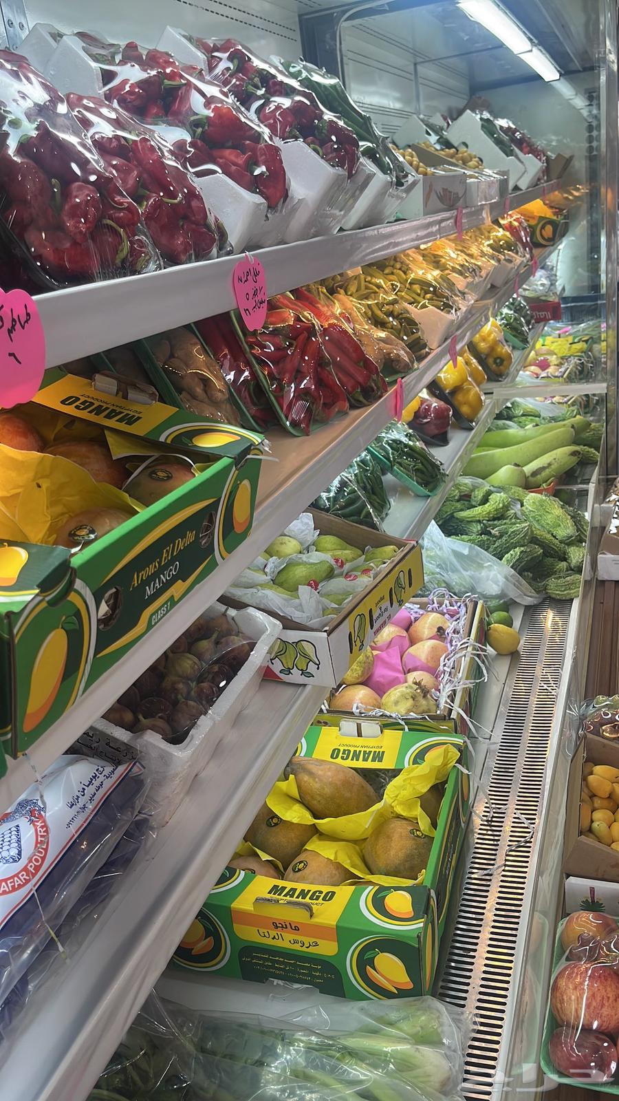 فرصه ذهبيه لاتعوض64354607706625111