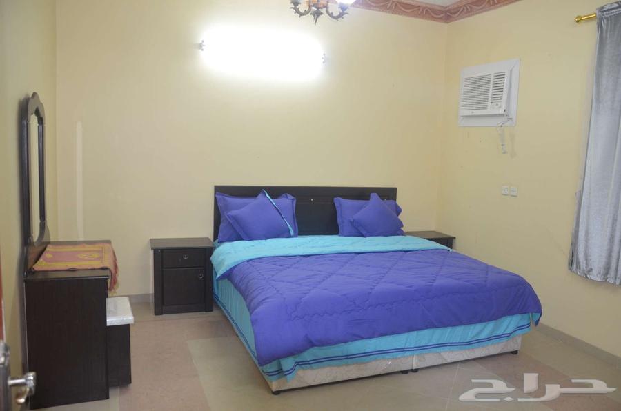 للايجار الشهري في العزيزيه شارع الشباب64338549292035110