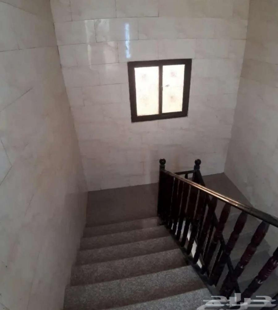 شقه للايجار بحرة64354906479746114