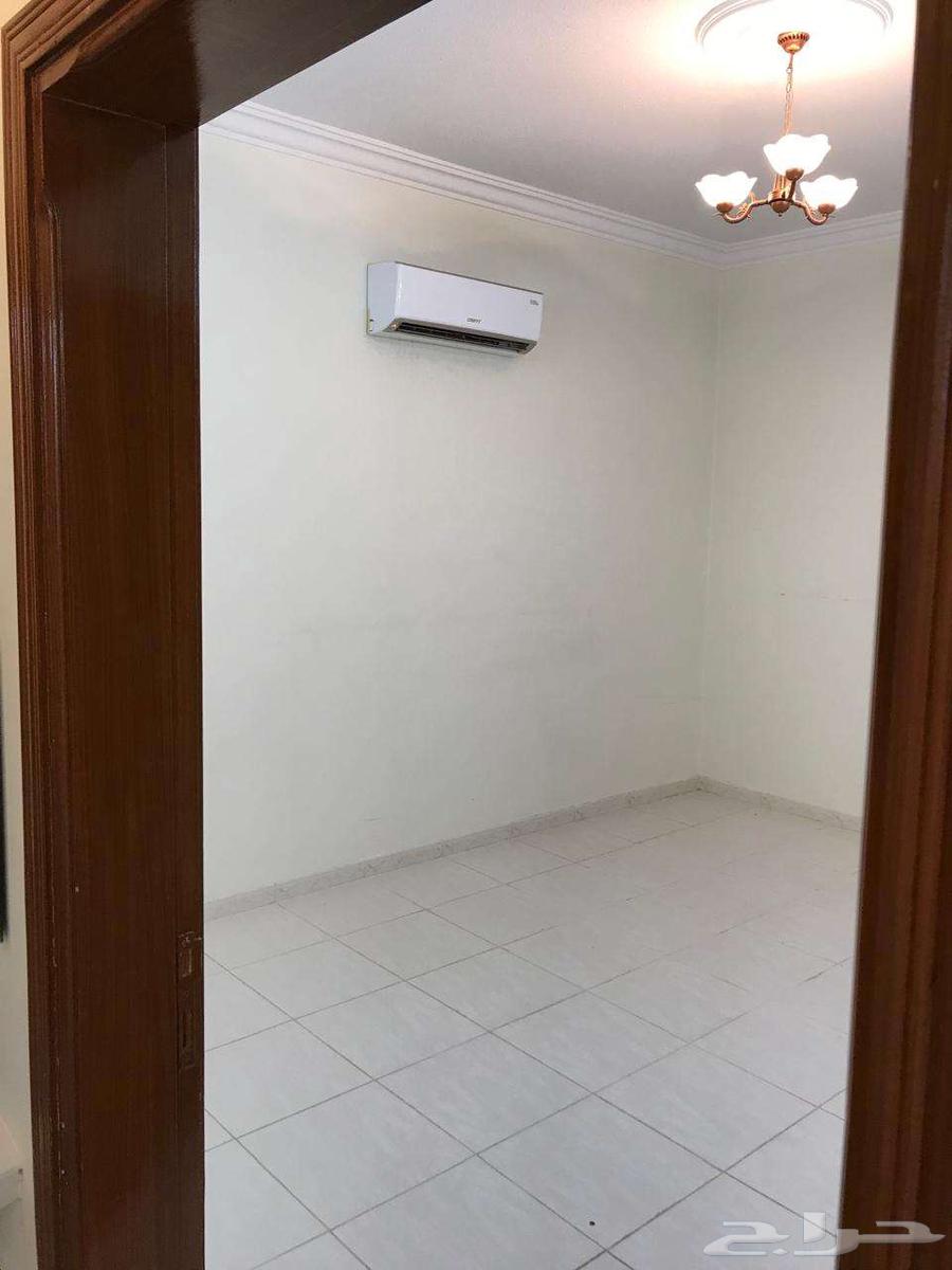 شقة للإيجار