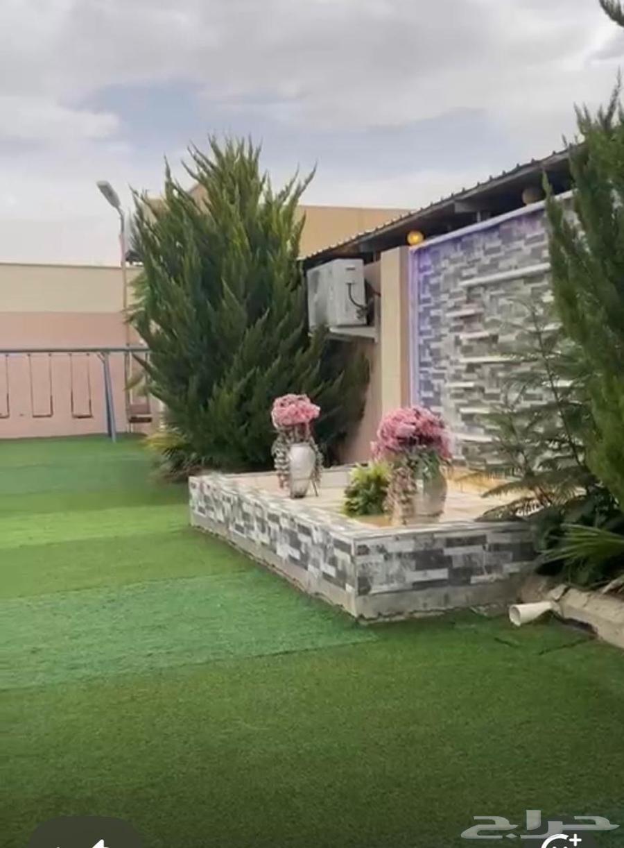 Rent a Rest Area in Abha64354889836546110