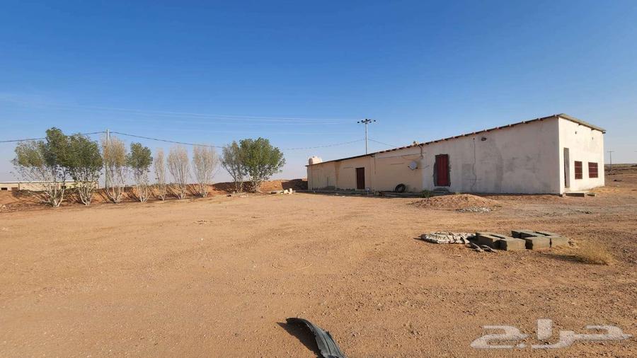 مزرعة للبيع بحائل في بقعاء الشرقية64354906845186113