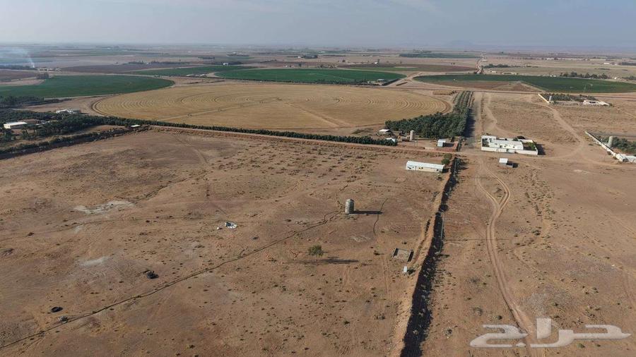 مزرعة للبيع بحائل في بقعاء الشرقية64354906845186114