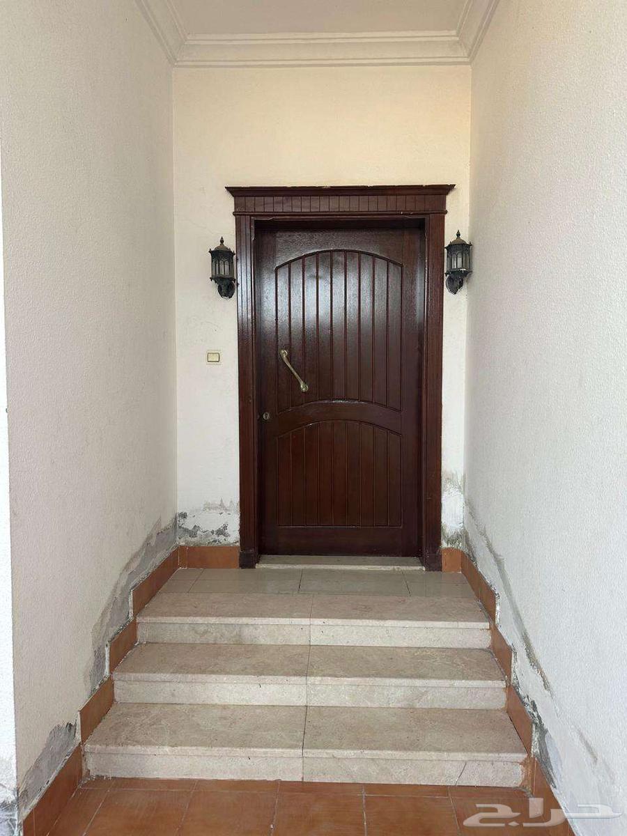 فيلا دوبليكس في حي الشراع64360147695234111