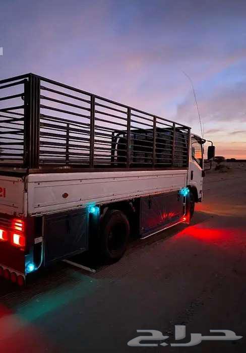 Dina Cargo Transportation Services in and out of Taif64379855880705110