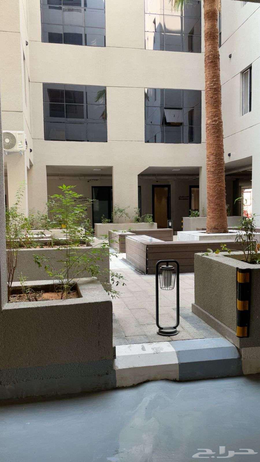 شقة للإيجار