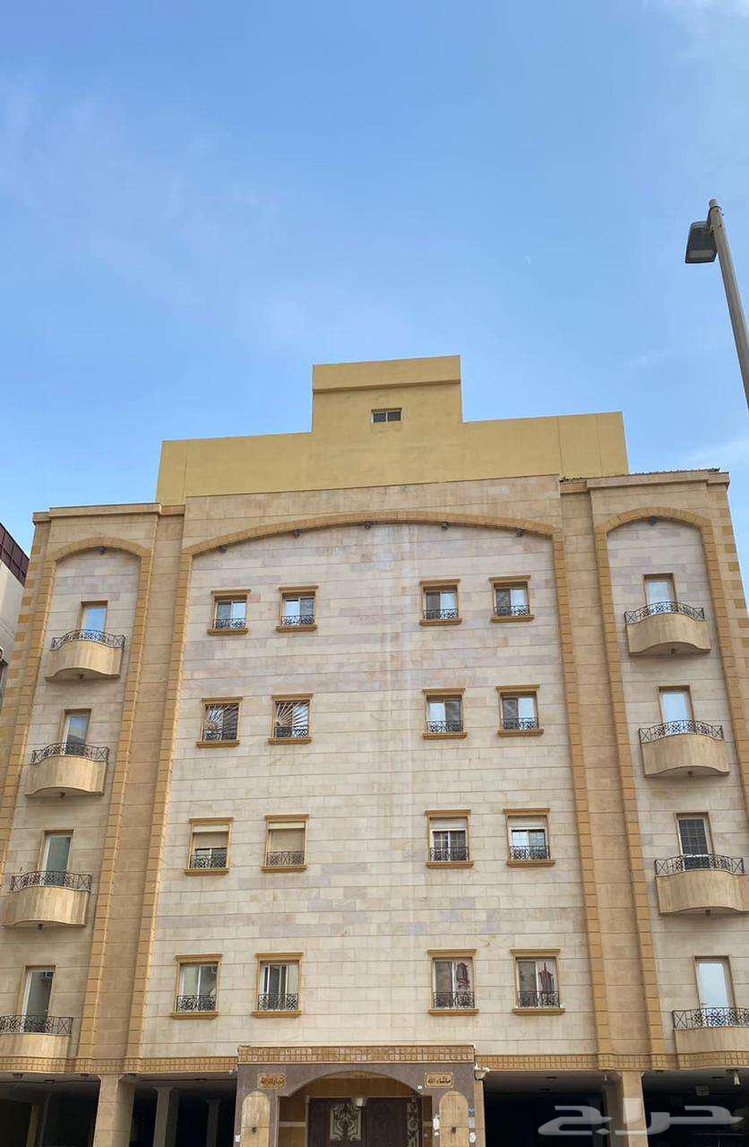 شقة للإيجار