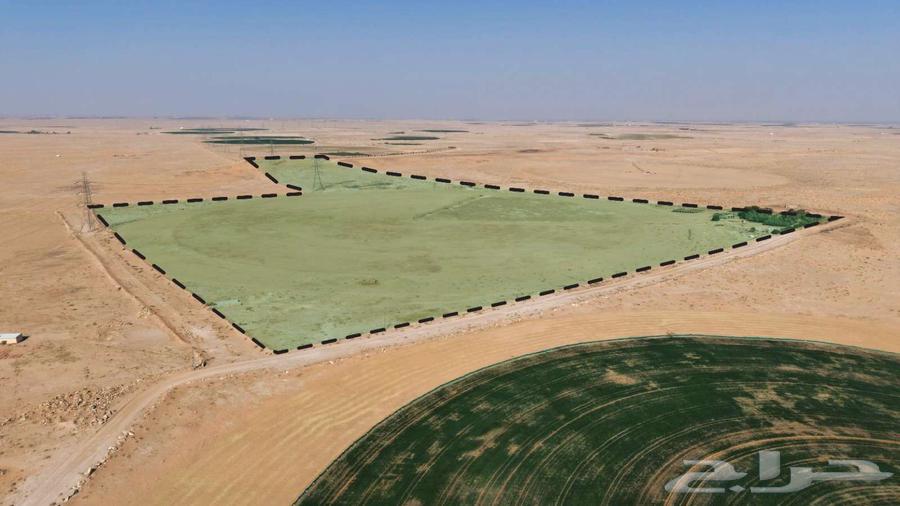 مزرعة للبيع