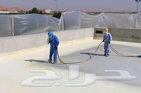 Foam and Thermal and Waterproofing Company and Leak Detection64403886342274113