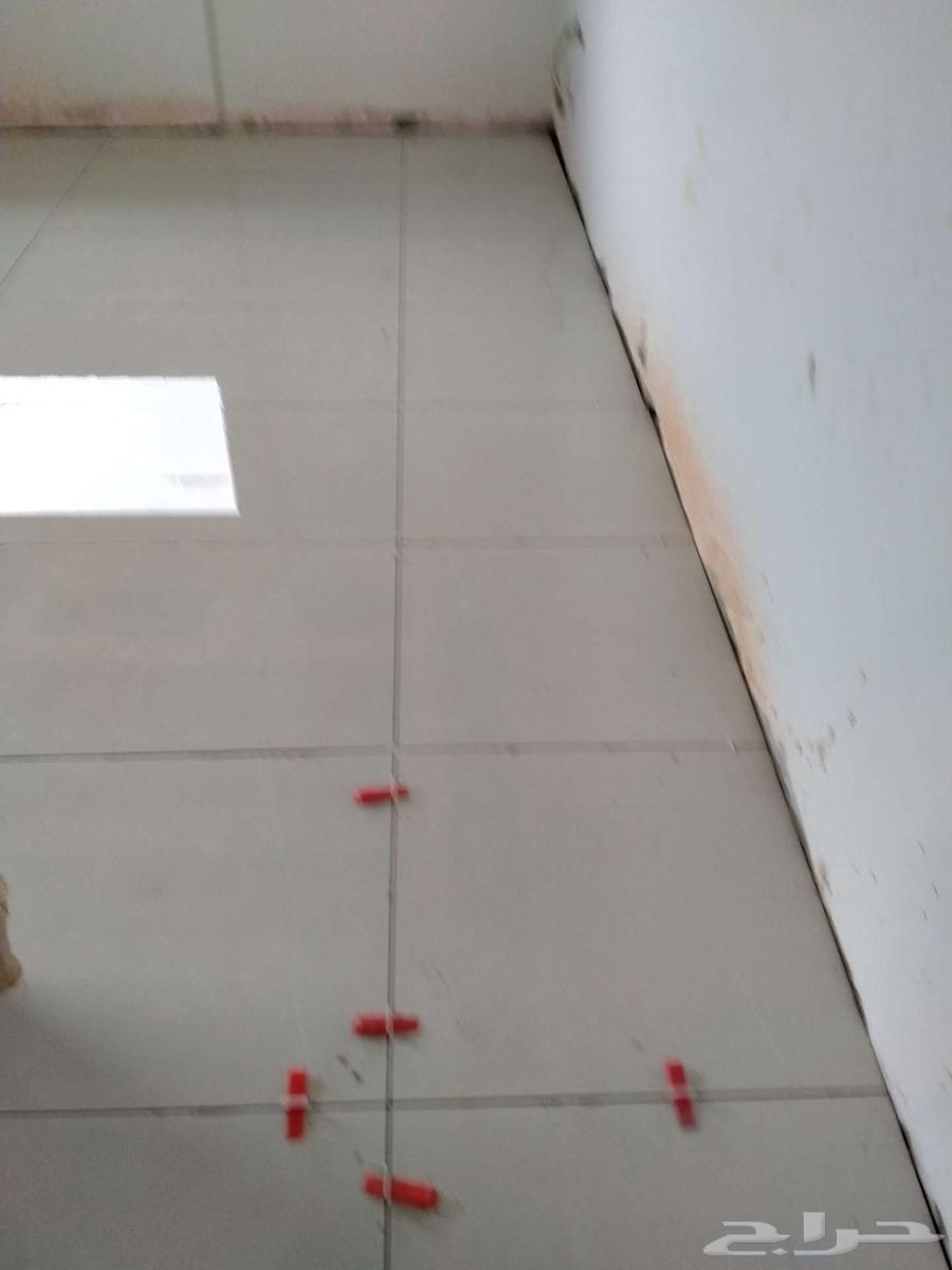 Tile layer64422831431554111