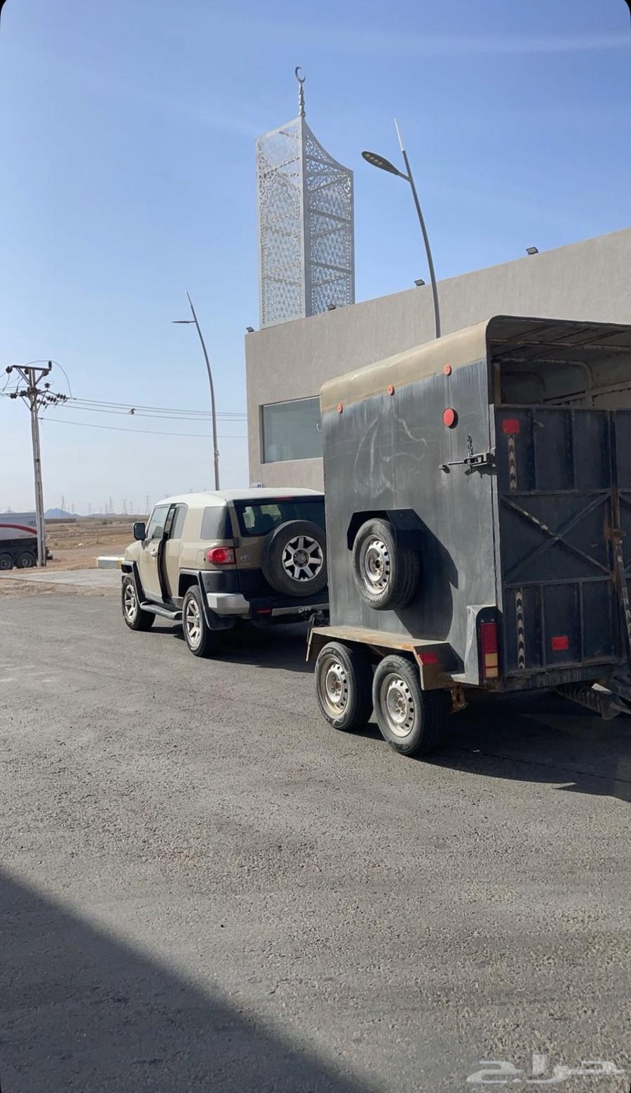 عربة نقل خيل64422959663746110