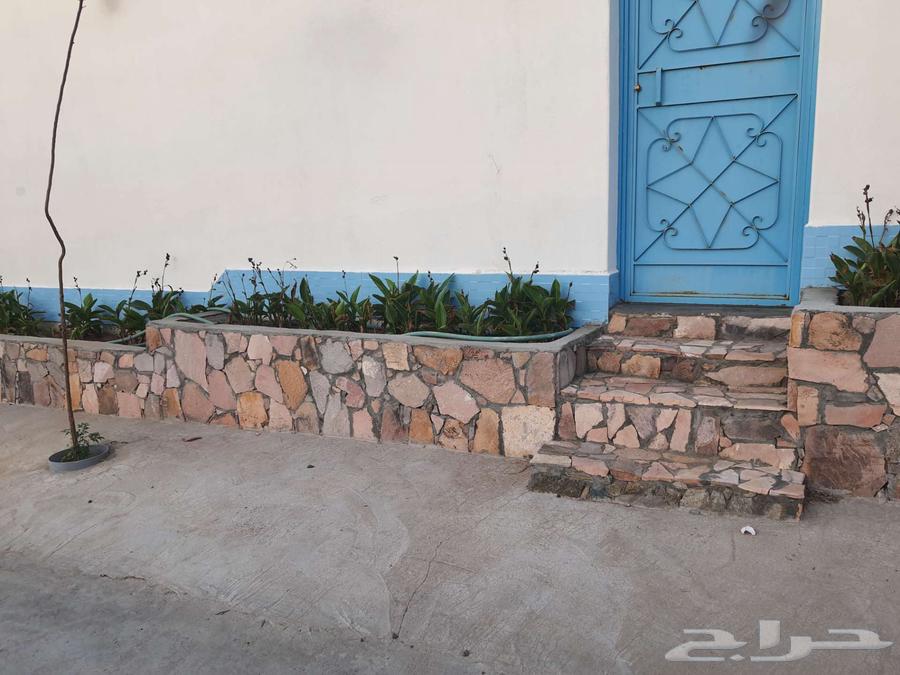 معلم حجر طبيعي64422928745474111